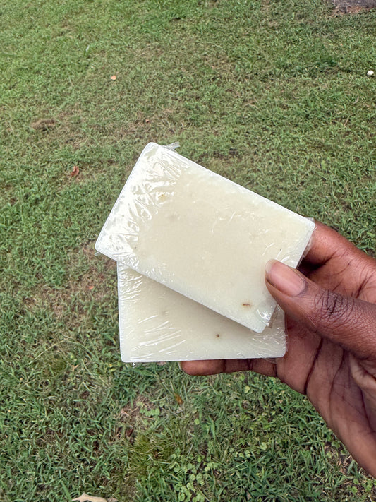 Eucalyptus Aloe Bar Soap